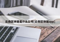 云南区块链是什么公司[云南区块链app]