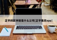 正宇的区块链是什么公司[正宇集团app]