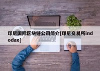 印尼国际区块链公司简介[印尼交易所indodax]